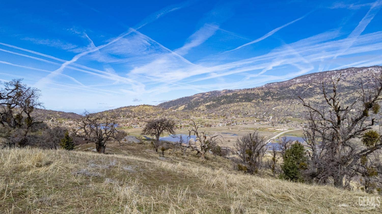 Ridgeview Court — photo 2