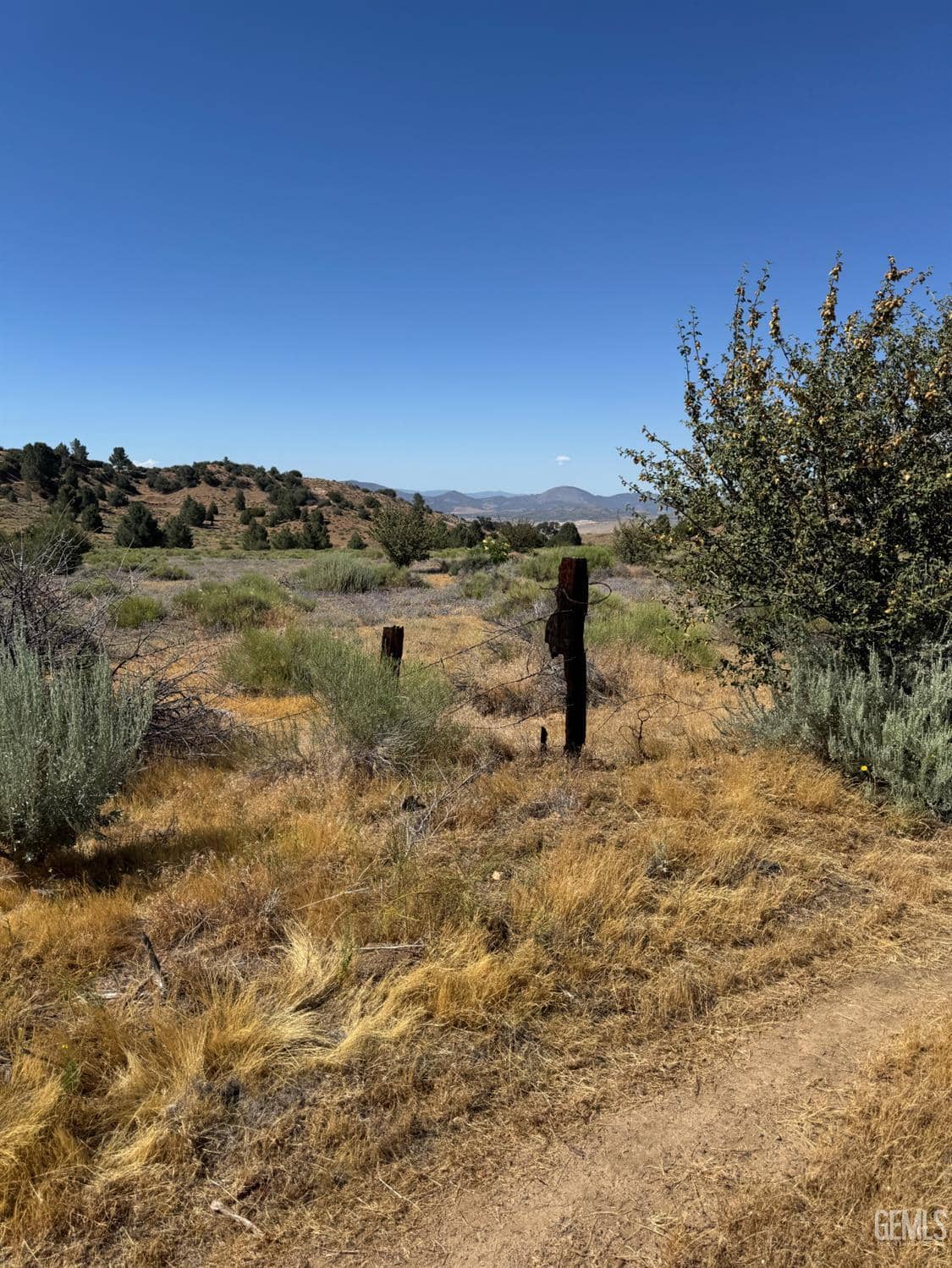 Vogel Road — photo 4