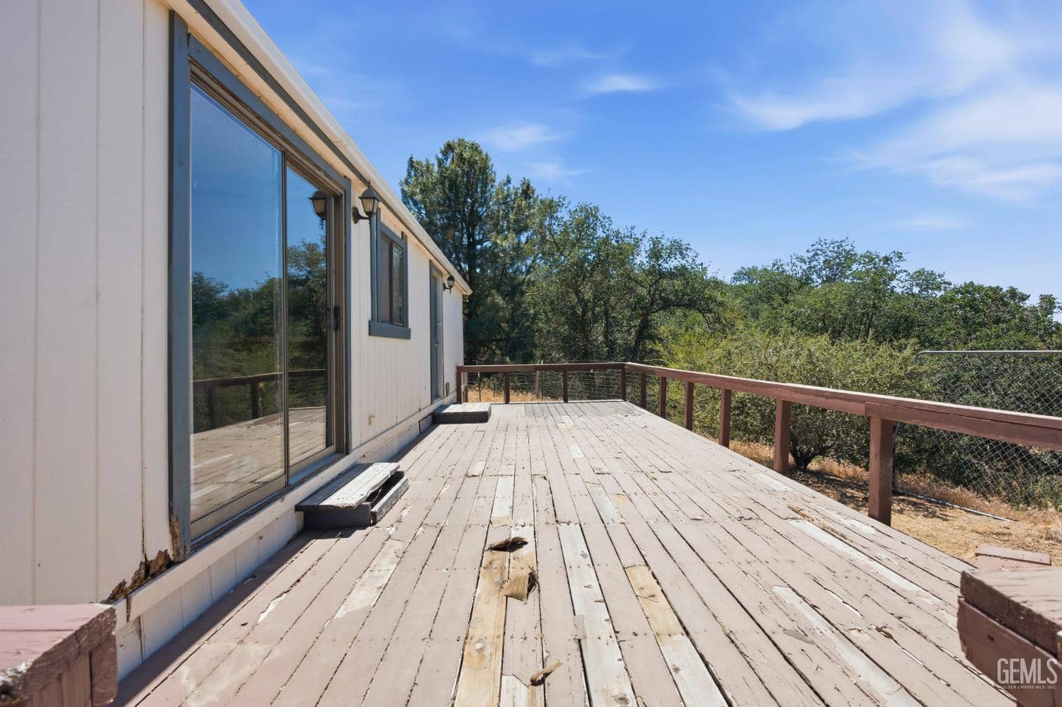 20313 Rex Drive — photo 4