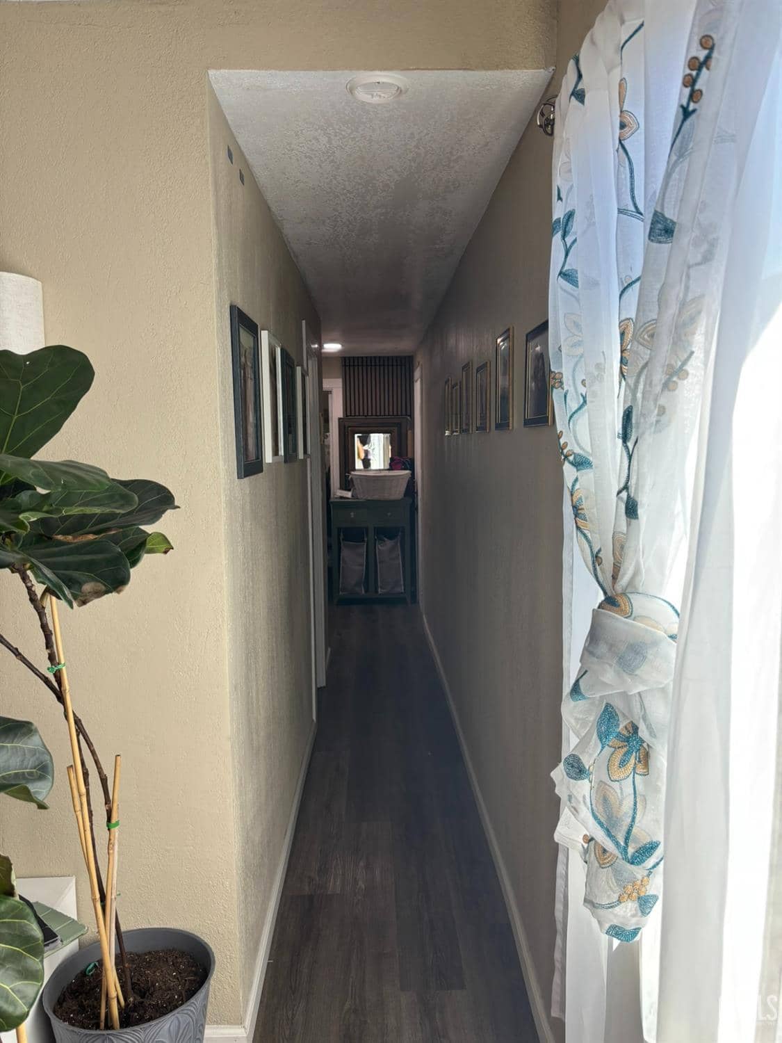 5000 Pierce Road — photo 6