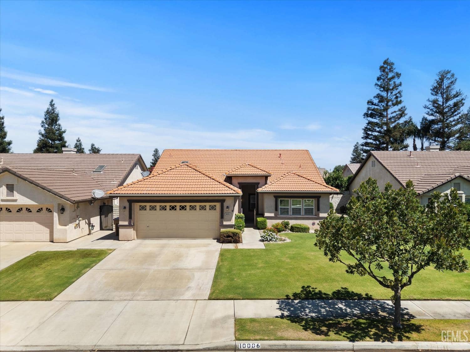 10006 Allspice Rose Court — photo 5