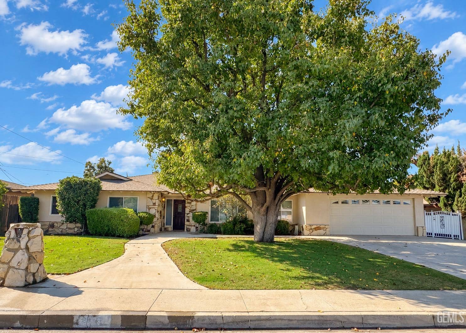 3709 Christmas Tree Lane